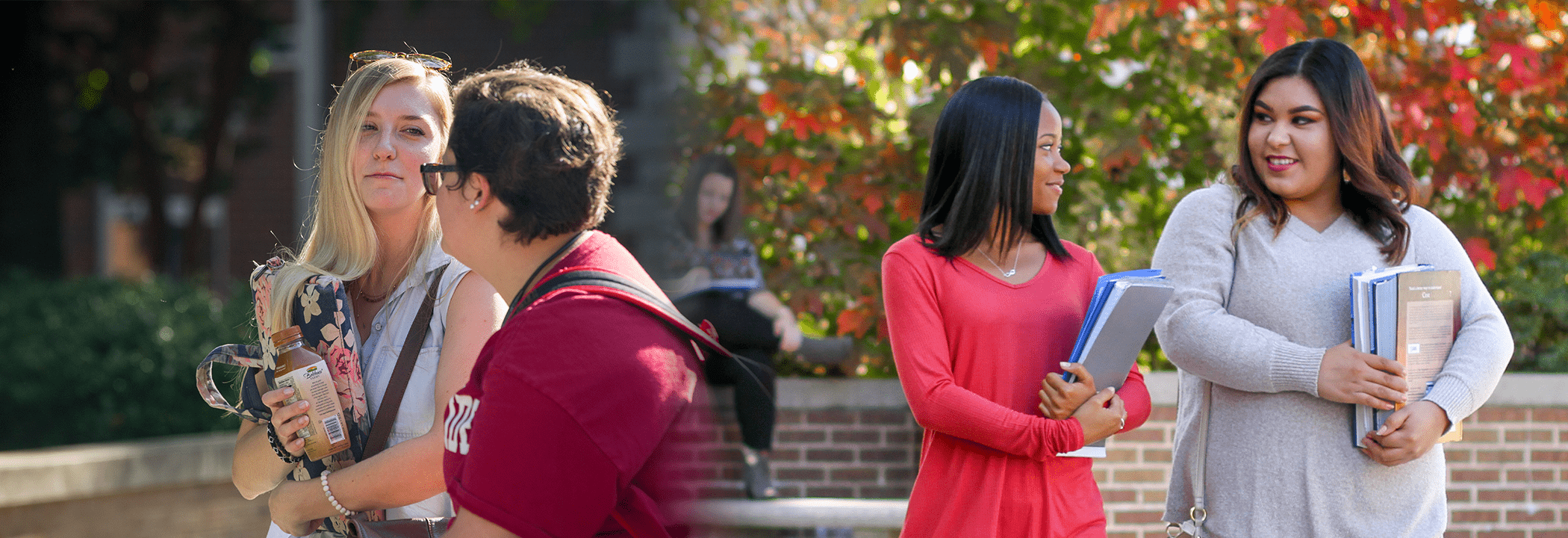 Humanities and Social Sciences web banner