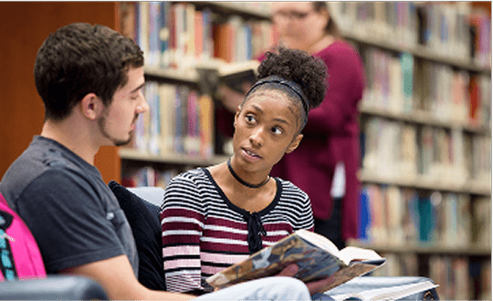 Individualized Degree Program image small