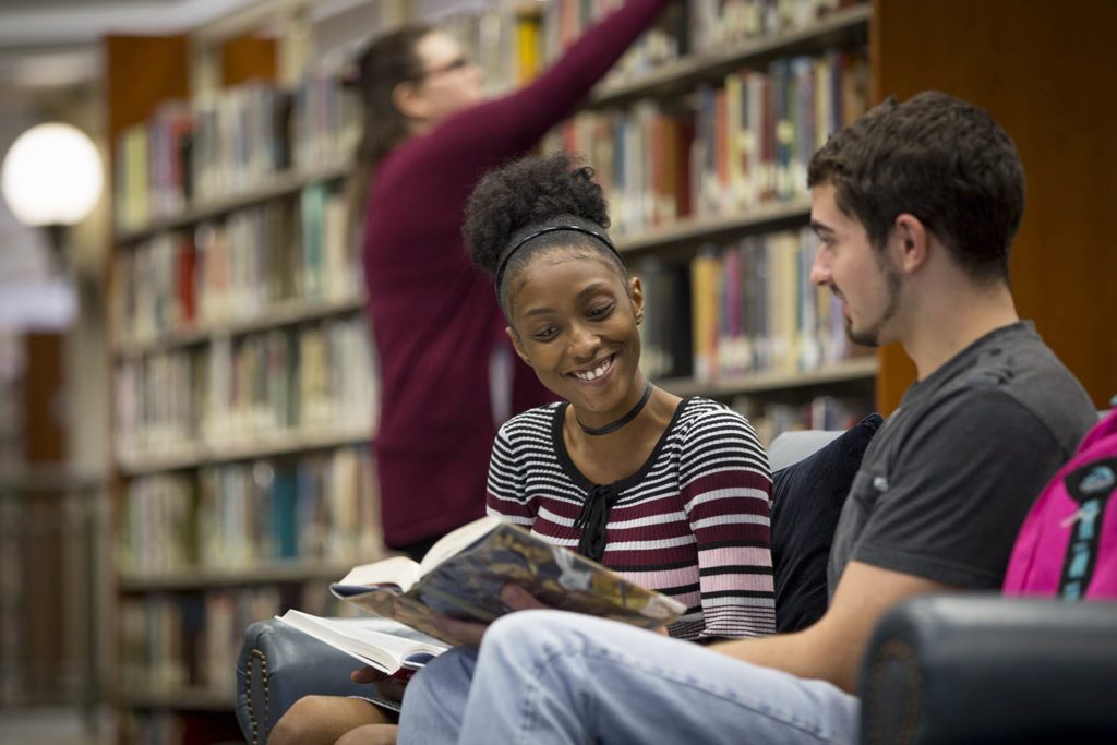 Students studying in library
