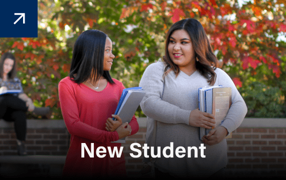 apply now new students
