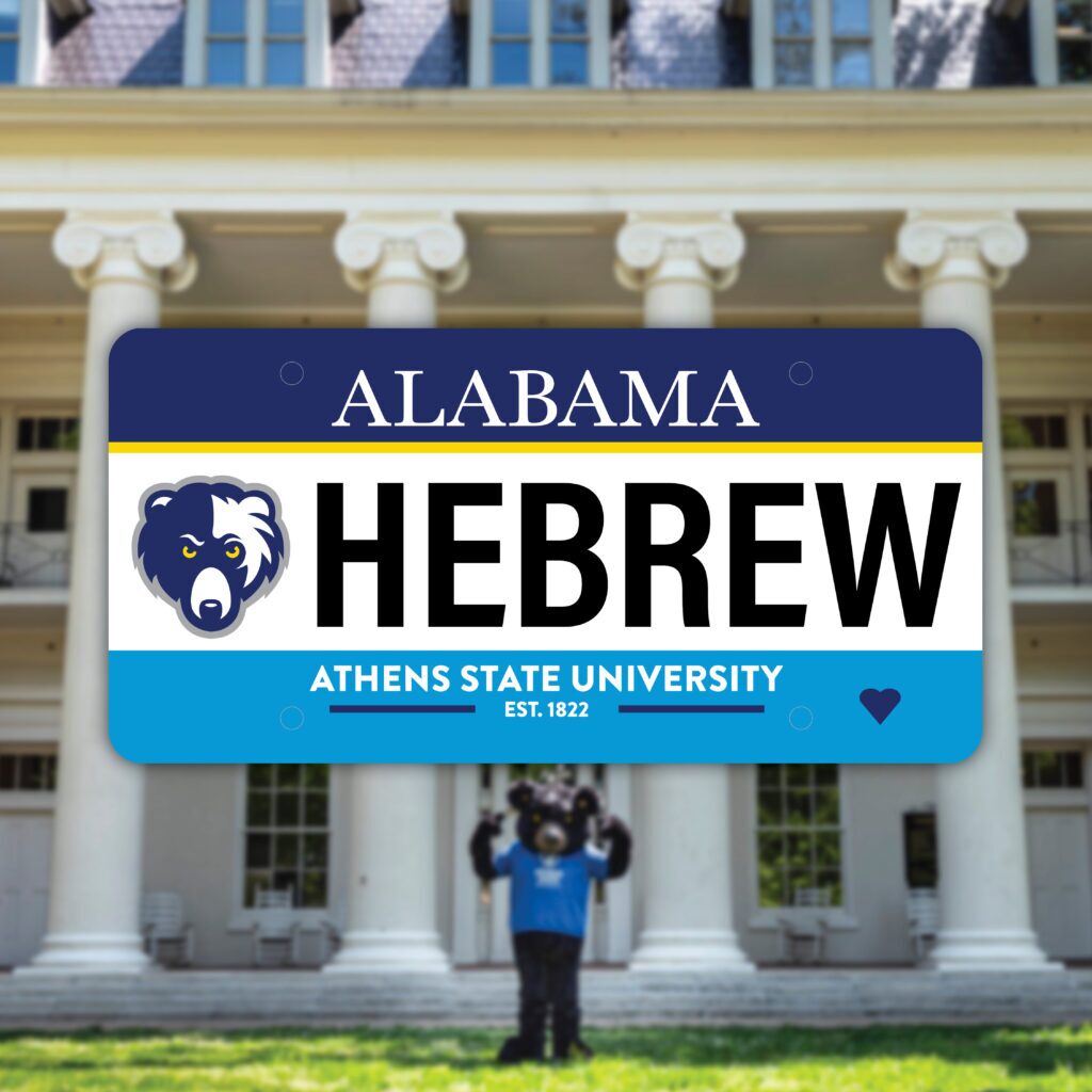 2026 License Plate Design